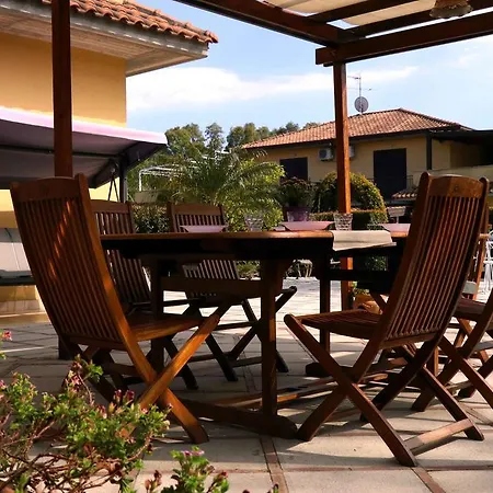 Orchidea 马斯卡利