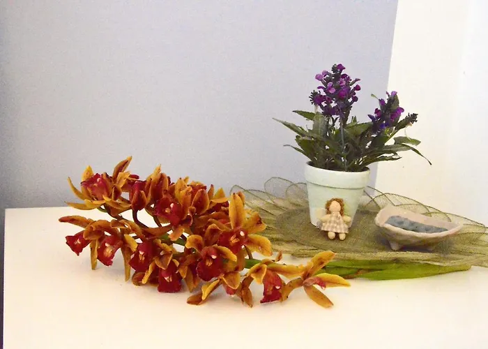 Orchidea *